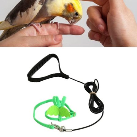 Sele for fugl, elastisk sele for fugler, flysele, trekkline for nymfeparakitter, undulater, kjærlighetsfugler, cockatiel