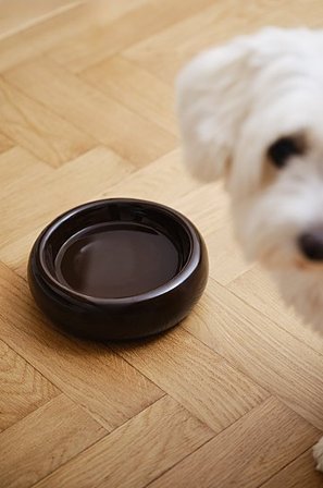 Jotex - Voerbak Hond/kat Donkerbruin donkerbruin - BUBBLE - Koop Dierenaccessoires bij Jotex