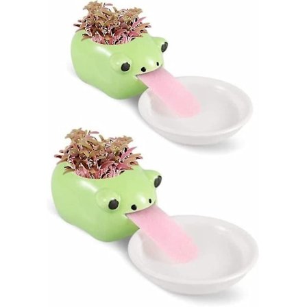 Mini selvsugende keramiske blomsterpotter med brett for sukkulenter kaktus blomsterpotter dekorasjon