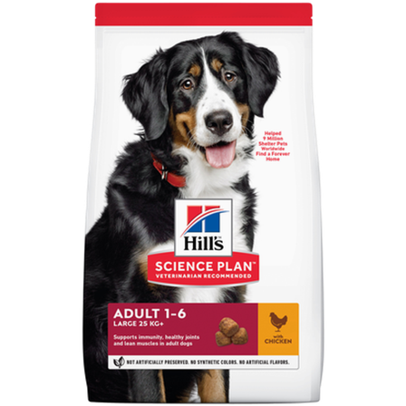 Hills Science Plan - Adult Large Breed Chicken - Dry Dog Food 14 kg - Hund - Hundefôr & hundemat - Tørrfôr for hund - ZOO.no