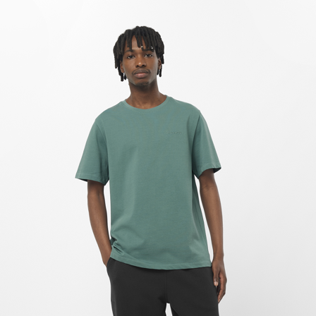 Salomon - T-Shirts Sal Logo Pride Ss Tee M - North Atlantic