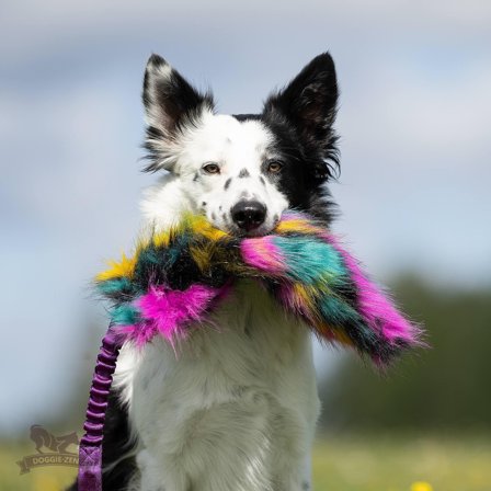 Doggie-Zen Knitrende Bungee Hundeleke, Høstfarger -L