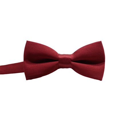 Kompakt och lätt smal fluga för bröllop och