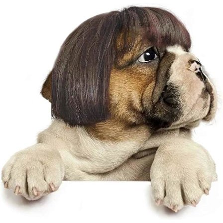 Hund Cospaly Parykk for Små Hunder Kjæledyr Kostymer Hår Parykk Hund Kle seg ut til Halloween Hundeparykker for Mellomstore og Store Hunder Kjæledyr