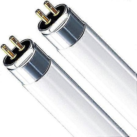 T5 Korkean hy tysuhteen 840 viile n valkoinen loisteputki 549mm 4000K HE (FH1840) Walkbee hwy