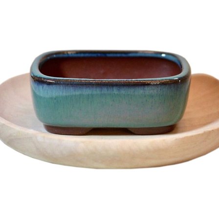 Rektangulær kinesisk bonsaikrukke mørkegrøn glaseret planter