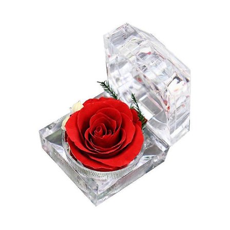 Ægte Præserveret Rose Forever I Mini Klar Ringæske, Gaver Til Jubilæum, Valentinsdag, Jul, Fødselsdag