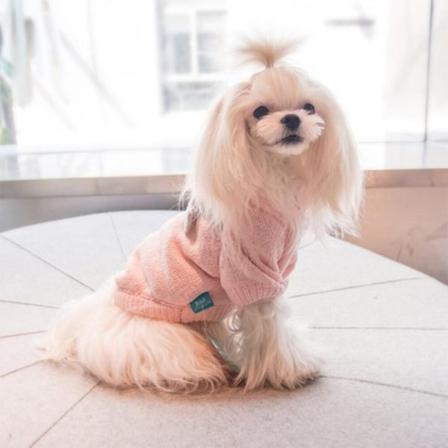 Katter Mode Rosett Öppen Knapp Varm Jacka Tvåbenta Hundkläder