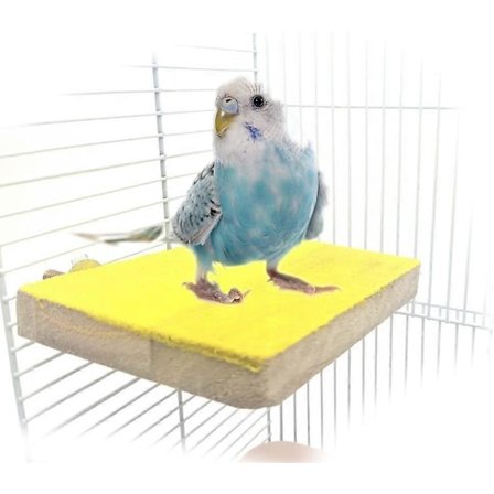 Fugle Aborre Stand Platform Legetøj, Naturligt Træ Legeplads Klo Slibning til Kæledyrsfugl Papegøje