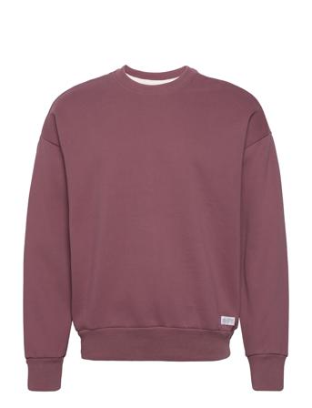 Hco. Guys Sweatshirts Sweatshirt Trøje Brun Hollister