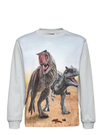 Rube T-shirts Long-sleeved T-shirts Monivärinen/Kuvioitu Molo