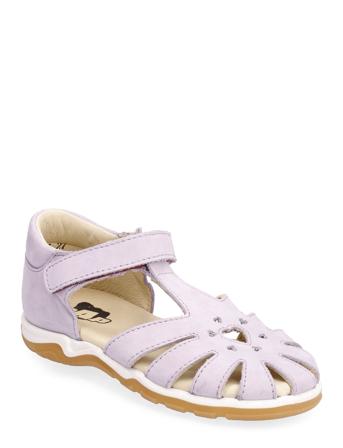 Bridget Arauto RAP Purple