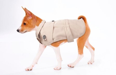 Hundedekken TrenchCoat 50cm