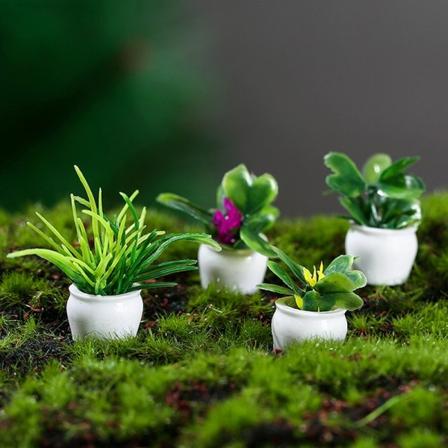 4stk 1:12 dukkehus Miniatyr mini trepotte for grønt i Po - Perfet