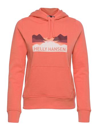 W Nord Graphic Pull Over Hoodi Orange Helly Hansen