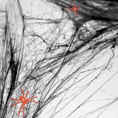 PARTYDECO Spindelvev Halloween 60g