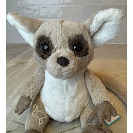 Jellycat 18CM Bruce Bush Baby: BNWT Plysj med merkelapper og ny støvpose