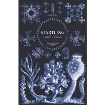 Startling (häftad, eng)