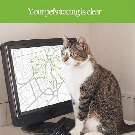 Mini GPS Datalogger Vattentät GPS Logger Kompatibel med Katt Hund Husdjur Sport Vandring Resenär Kartläggning Sur