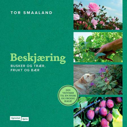 Beskjæring - Bok av Tor Smaaland - Hardback