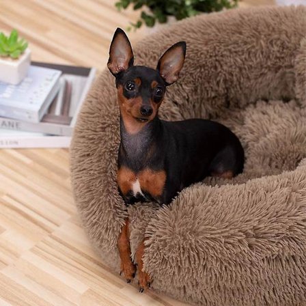 Myk Rund Luftig Kjæledyrseng Katte- og Hundesenger