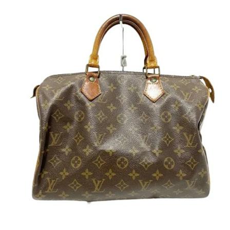 Louis Vuitton Vintage, Pre-owned Polyester Speedy Bruin, Dames, Maat:ONE Size
