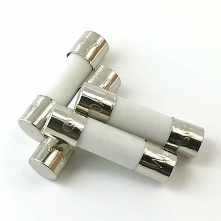 10x Keramisk tidsforsinkelsessikring (T) 10A / 250VAC 5x20mm