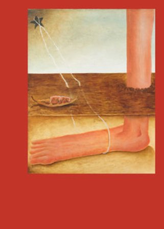 Santiago De Paoli. First meeting Fernanda Brenner