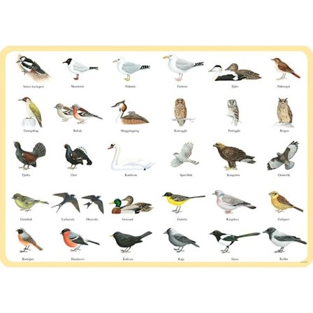 Dækkeservietter Fugle - Hjelm Forlag