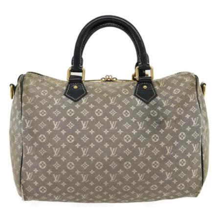 Louis Vuitton Vintage, Pre-owned Canvas Speedy Grijs, Dames, Maat:ONE Size,leer