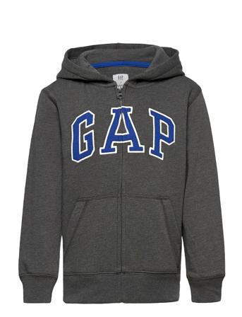 V-New Fz Gap Arch Hood Hoodie Grå GAP