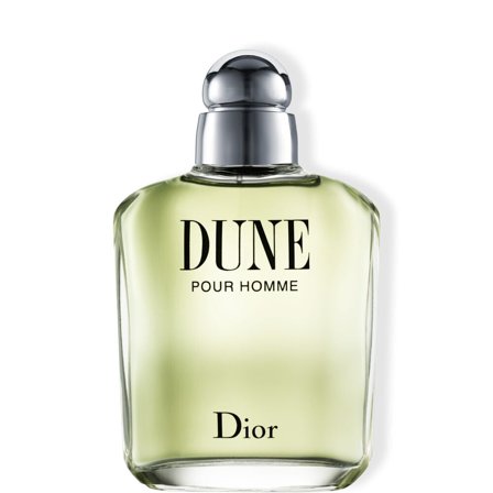 DIOR Dune pour Homme 100ml - Eau de Toilette