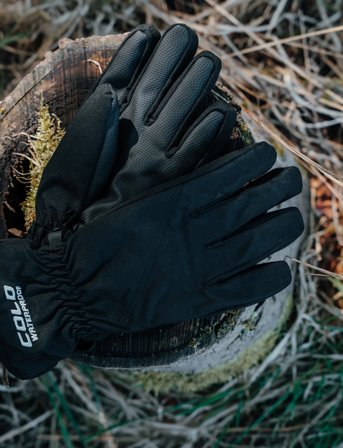 COLD Softshell Gloves - Black - XL