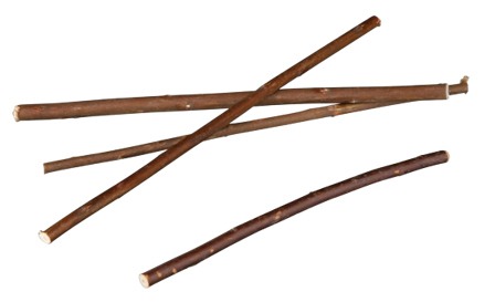 Trixie - Pilkvister, 18 cm, 20stk - Smådyr - Godbiter og gnagestenger - Spiselige planter - ZOO.no