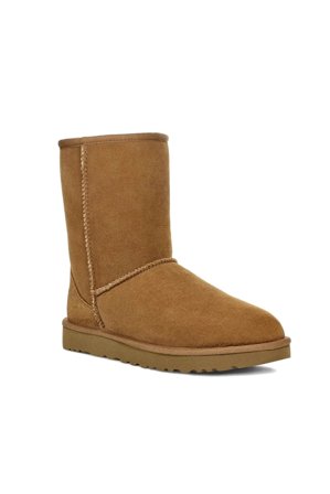 W Classic Short II Chestnut 36