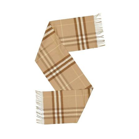 Burberry, Winter Scarves Bruin, unisex, Maat:ONE Size