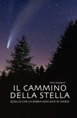 Il cammino della stella. Quello che la Bibbia non dice di Maria Nora Gasparini