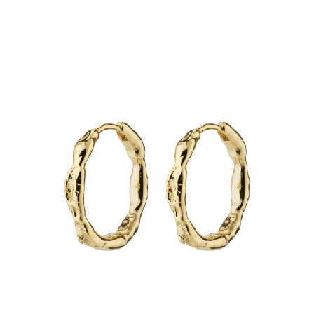 Pilgrim Eddy Earrings Smycken & klockor Dam Guld ONESIZE