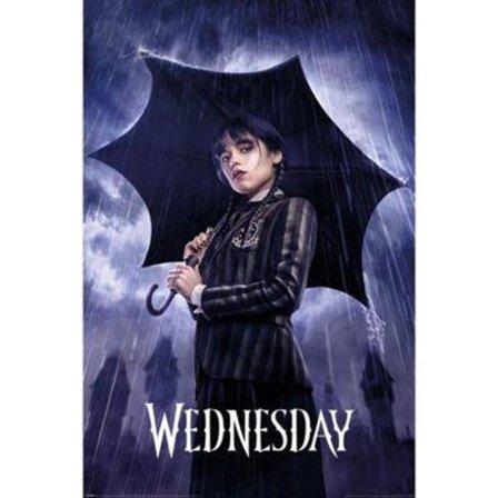 WEDNESDAY (DOWNPOUR)