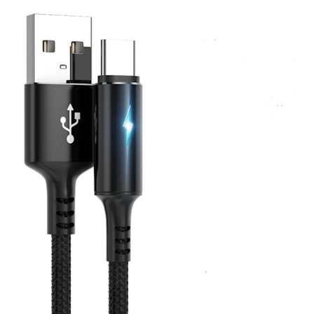 Typ C Kabel Datasladd SVART 2M