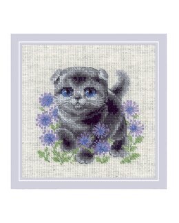 Stickpackung Bild Katze