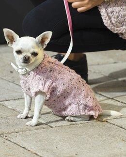 Neuleohje Koiran pusero-Järbo