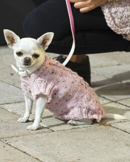 Neuleohje Koiran pusero