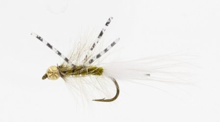 X-Fly Goldhead Olive Kamasan B170 #6
