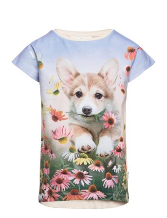 Ragnhilde T-shirt Multi/mønstret Molo