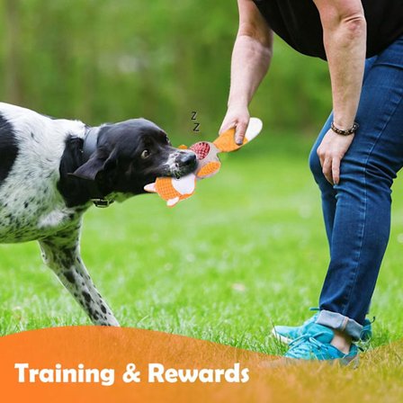 Valp leksaker, hållbara tuggleksaker, pip leksaker, husdjursträning och underhållning