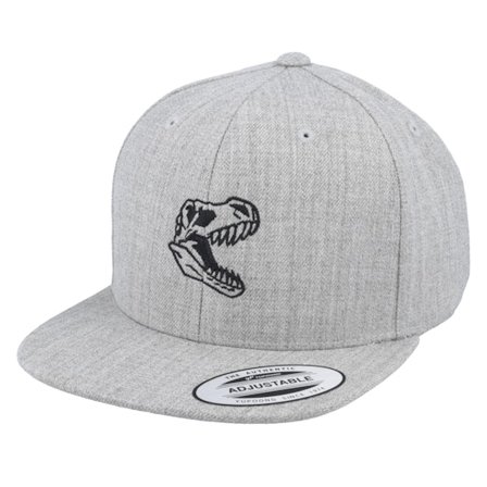 Kiddo Cap - Grijs snapback Cap - Kids Dino Skull T-Rex Heather Grey Snapback @ Hatstore