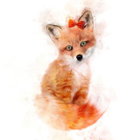 Baby Fox MultiColor 21x30 cm