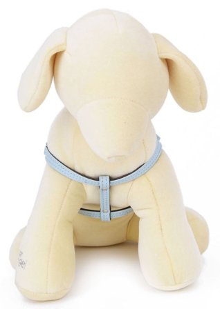 Puppy Angel - Metamorphosis Sele - Blå - S - Hundsele