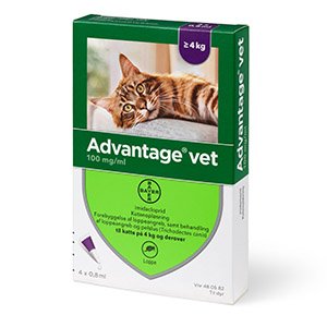Advantage Kat, 4+ kg